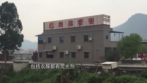 违规添加荧光增白剂,张数不实,记者暗访漳州龙海餐巾纸工厂