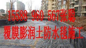 漳州膨润土防水毯厂家报价,漳州膨润土防水毯厂家报价价格,漳州膨润土防水毯厂家报价厂家-中科商务网-莱芜市华润土工合成材料